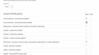 Notifications Bright Space D2L