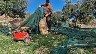 Μια μέρα στις ελιές Νο2 ελαιοσυλλογή!   olive harvest Greece Crete!