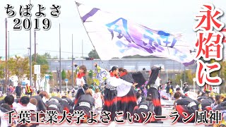 4K【千葉工業大学風神】永焰に_ちばYOSAKOI2019_パレードA会場【2019年】α7III