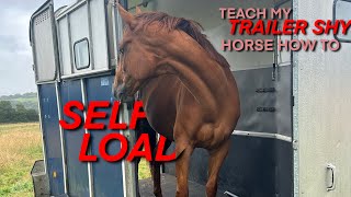 TEACH MY TRAILER SHY HORSE HOW TO SELF LOAD 🙈😱