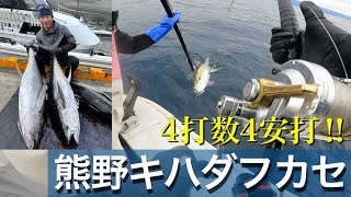 熊野はキハダの宝庫⭐️ 怒涛の４連打‼️ Fishing yellowfin-tuna with sardine