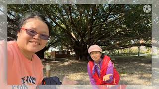 台中豐原葫蘆墩公園，時序粼源，見證愛情長長久久，蝶飛花綵，水沐清荷歡迎您！