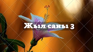 Жеке жыл саны 3. Бұл сізге арналады.