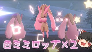 【ポケモン剣盾】孵化と野生で色違いミミロップが2体!?どっちのエフェクトも欲しい！【ゆっくり実況】