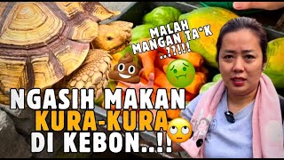 MAKAN GRATIS...!?!?... AYOOO MANGANNN... MANGANNN... nDAK EDAN...!!! #soimah #kurakura #makangratis