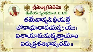 Śrīmad-Bhāgavatam (Bhāgavata Purāṇa) || 3.11.29 || by HG Radha Krishna Prasad Prabhu  || 25.12.2024