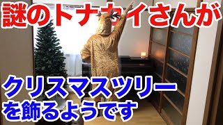 Merry Xmas！！　小さすぎたかしら？クリスマスツリーを私流に飾りました！