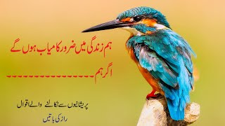 Best Urdu Quotes | Beautiful Collections Of Urdu Quotes | Amazing Urdu Quotes | Alfaz-E-Guftgu