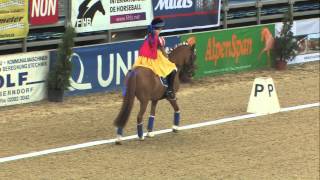 Arena Nova DeLuxe47 Alessa-Louisa Djaber Ansari  FEI Pony-Kür 2013