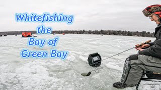 Whitefish Fishing the Bay of Green Bay - First time out for the 2025 season! | Wisconsin Ice Fishing