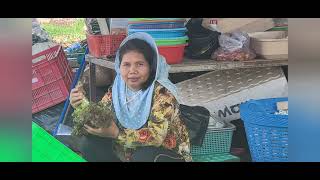 hydroponic farm. phnom Penh Cambodia. kannika farms!