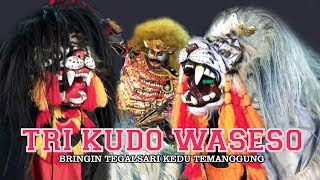 KUDA LUMPING / JARAN KEPANG - TRI KUDO WASESO - BRINGIN TEGALSARI - LIVE DIWEK SUNGGINGAN - FULL HD