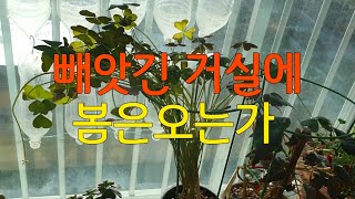 식물에게 빼앗긴거실 봄은오는가          to the plants in the stolen living room when will spring come