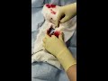 Canine cystotomy (bladder stone removal)