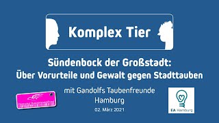 Komplex Tier • Gandolfs Taubenfreunde HH: Sündenbock der Großstadt - Vorurteile gegen Stadttauben