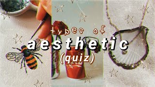 Aesthetic Quiz // Find Your Aesthetic ✭✭ (Special 1k)