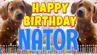 Happy Birthday Nator! ( Funny Talking Dogs ) What Is Free On My Birthday