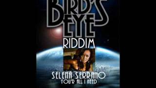 Bird's Eye Riddim Mix 2011 [Cyclone Entertainment] (Brand New May 2011)