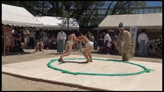 あらえびす神社奉納子ども相撲大会         2024.7.7