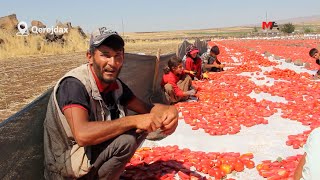 Lİ QEREJDAXÊ HEM COTKAR HEM JÎ KARKER Bİ GİLÎ Û GAZİNC İN