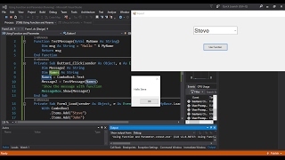 Using Function and Parameter in Visual Basic
