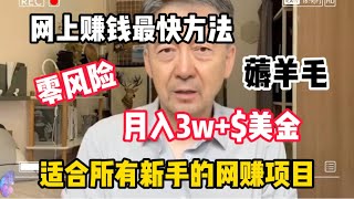 2024网上赚钱最快方法！这是一个零风险薅羊毛赚钱项目，新手也可以月入3万$+！这是一个适合新手的零风险网赚项目！#赚钱 #副业 #网赚 #兼职 #tiktok #chatgpt