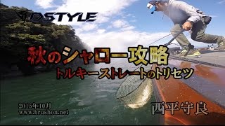 【DSTYLE】秋のシャロー攻略 ～トルキーストレートのトリセツ in 琵琶湖～　西平守良