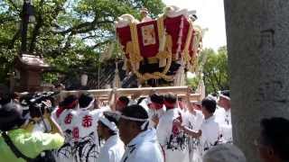 ２０１３年百舌鳥八幡宮ふとん太鼓（赤畑町　宮入-11階段）