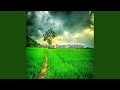 Through The Fields