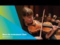 Meet the Instrument: Viola