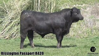 Rissington Passport R439