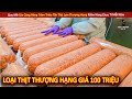 Quy Mô Gia Công Hàng Trăm Triệu Tấn Thịt Lợn Thượng Hạng Kiếm Hàng Chục Tỉ Mỗi Năm