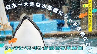 日本一大きな水族館『名古屋港水族館』はシャチとペンギンが神級にかわいい！【愛知県名古屋市お出かけ】Vlog