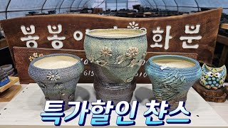 2월15일 #봉봉이네화분 #수제다육화분 #오후영상 #특가할인은 누구~??