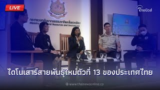 🔴(Live) แถลงด่วน! ไดโนเสาร์สายพันธุ์ใหม่ตัวที่ 13 ของประเทศไทย | Thainews - ไทยนิวส์