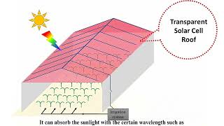 Wavelength selective Perovskite Solar cells for greenhouse applications in New Zealand