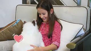 MetaCat | The Perfect Gift Choice - Robotic Companion Pet