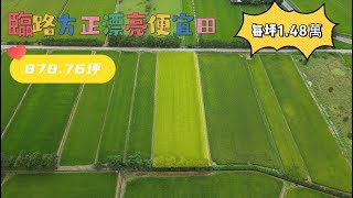 (已售出)新屋農地 | 土地878坪 | 總價1299萬(每坪1.48萬) | 申請農保、資材室、農舍都適合。