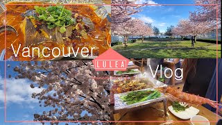 ENG] CANADA Vlog🇨🇦/cherry blossom /Hot pot/Lamb skewers/Costco/Croissant dough/Croffle/Sunset/plants