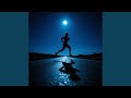 Midnight Run