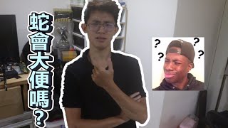 《爬來爬趣》蛇也會大便?清理Vlog【潮竣】