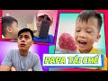 CUỘC CHIẾN KHÔNG HỒI KẾT CỦA BỐ CHÍNH VÀ ĐẬU ĐẬU | Papa Tái Chế