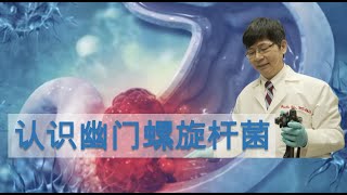 一分钟认识幽门螺旋杆菌 H. pylori in 1 Min