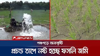 ভরা বর্ষা মৌসুমে অনাবৃষ্টি; নষ্ট হচ্ছে কৃষকের আমনের বীজতলা | Paddy Loss