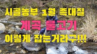 겨울철 족대로 계곡물고기 잡아서 숯불에 구워 먹어 보자 Catching valley fish with a foot