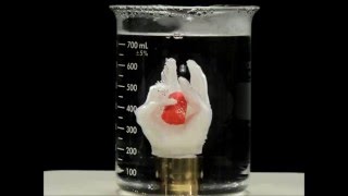 Essemplex: Printable Shape Memory Polymer Filament - hand demo
