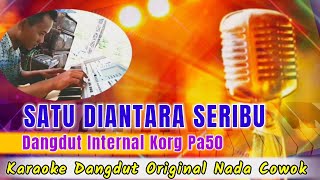 SATU DIANTARA SERIBU_ASHRAFF_KARAOKE NADA COWOK@DivanadaEntertaiment