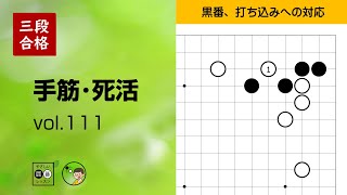 【三段合格・手筋死活_111】～やさしい囲碁レッスン～