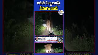 అటవీ సిబ్బందిపై ఏనుగు దాడి