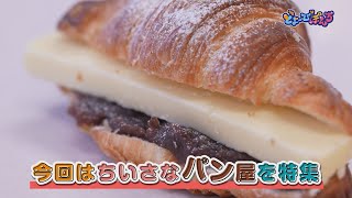 【新食感＆新感覚】町のちいさなパン屋さん